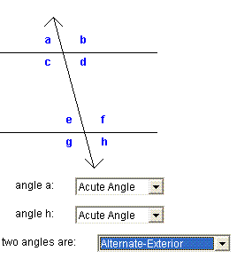 Investigate angles formed by parallel lines and transverals