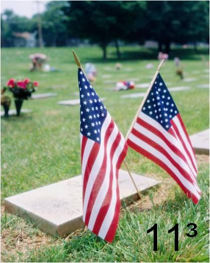 Veterans Day - Remember