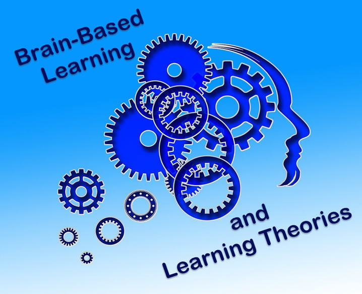 brain learning theory