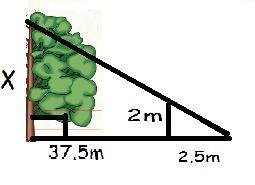 question5.jpg