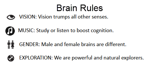 last four brain rules