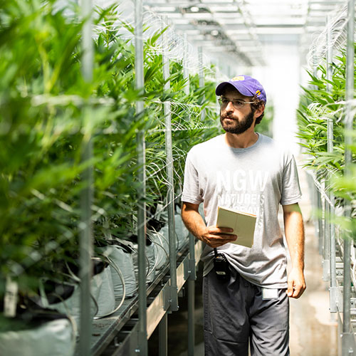 student walking through rows of plants in greenhouse